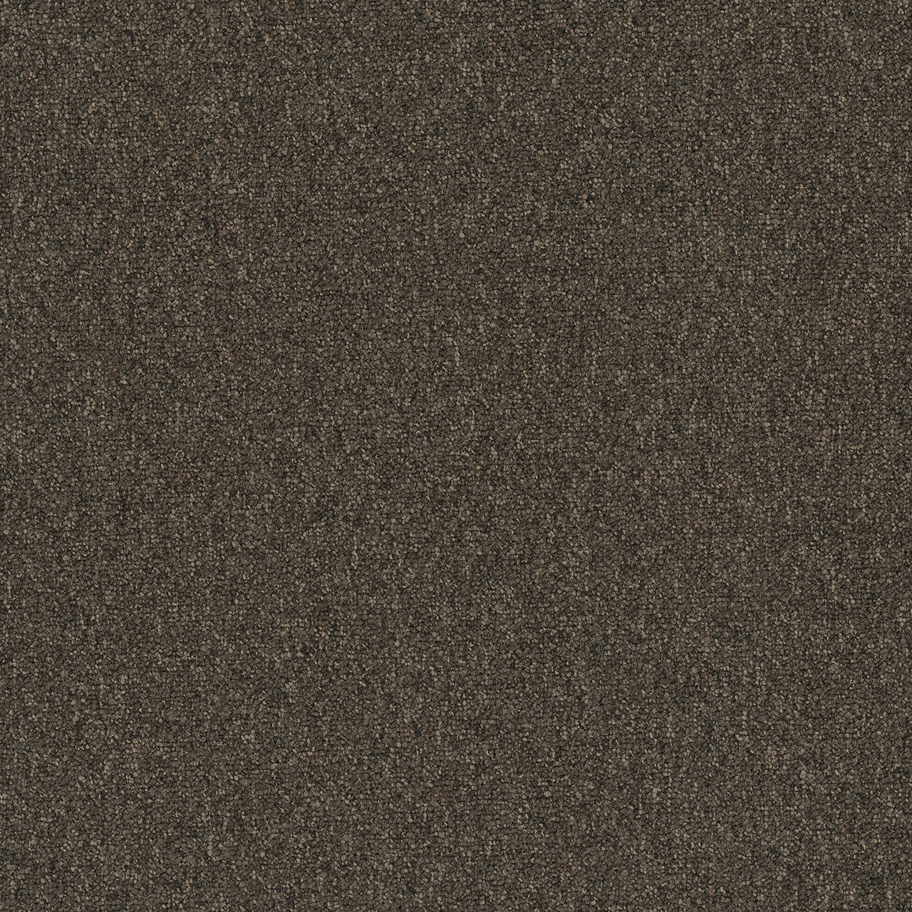 Pentz Carpet Diversified Tile 7037T-2050 Bizarre 24" X 24"