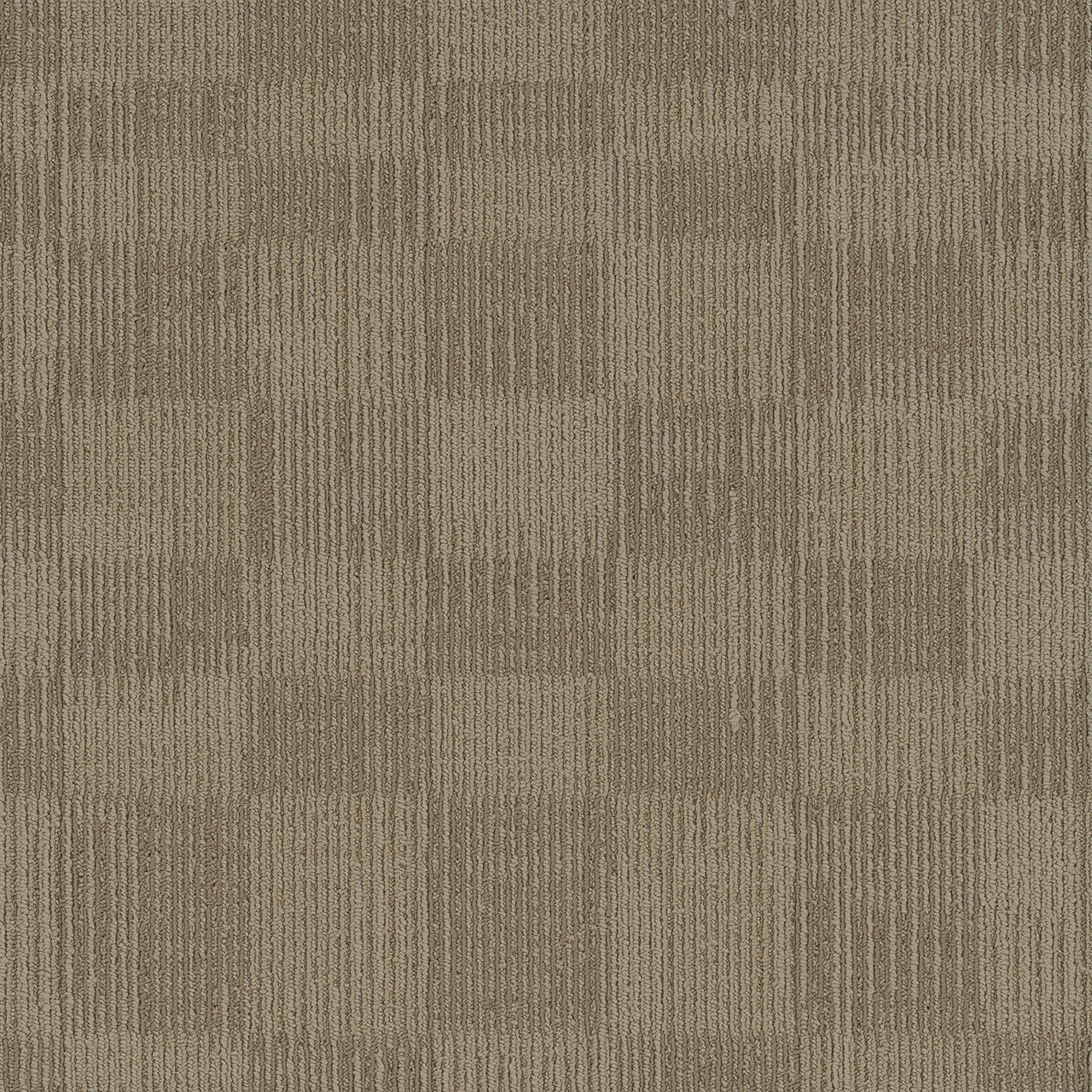 Pentz Carpet Blockade 7039T-2127 Division 24" X 24"