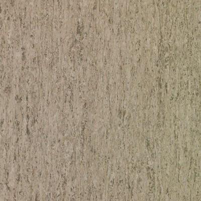 Tarkett iQ Optima TAR314013957 Impala 12" x 12" Homogeneous Tile