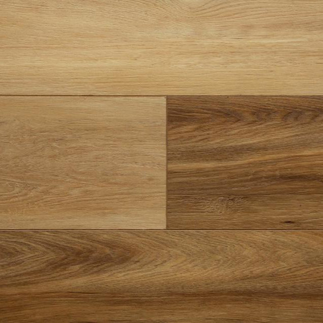 audacity foundations sinclair cw 1800