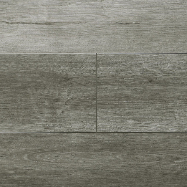 audacity liberty charlotte cwh 3473