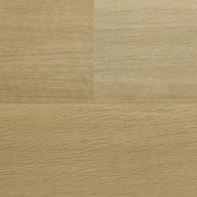 audacity symphony presley cflewh 7154