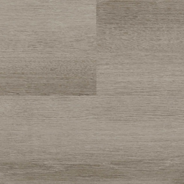 audacity audacity one noland cfl5599bl