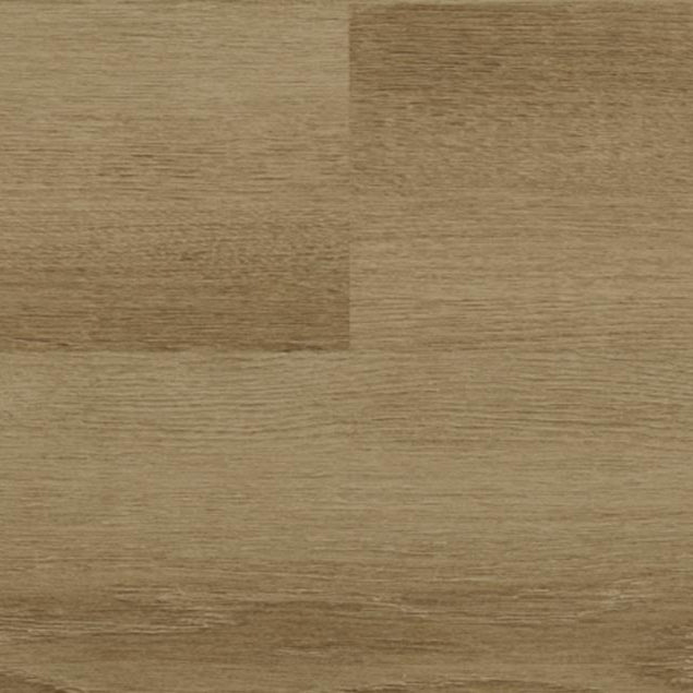 audacity audacity one cline cfl5600bl