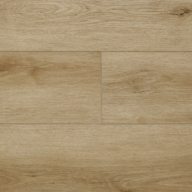 audacity liberty caldwell ewh 5619