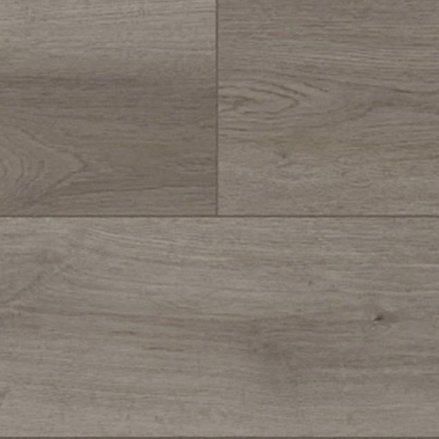 audacity symphony axl cflewh 5780