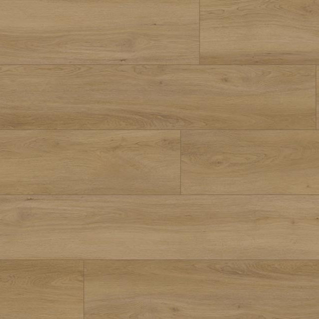 audacity symphony gibbons cflewh 5782