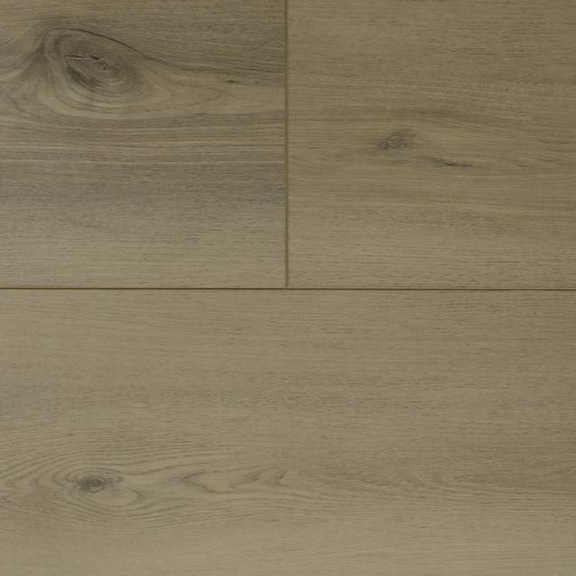 audacity symphony elton cflewh 7282