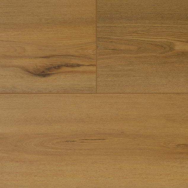 audacity symphony richards cflewh 7290