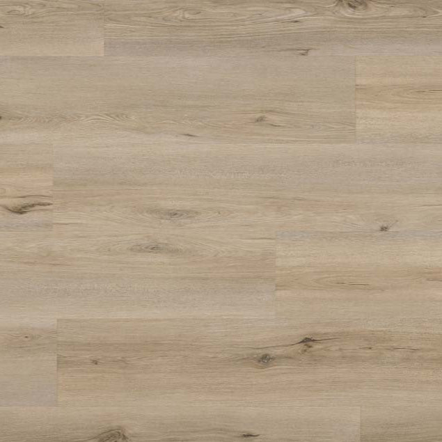 audacity symphony jagger cflewh 7295