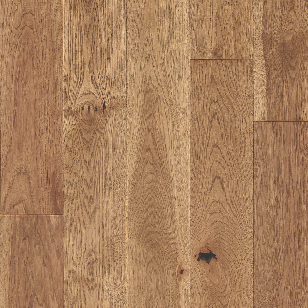 Mannington Latitude Forest Park Sunbeam 7.5" Wide With Varying Lengths Up to 83”