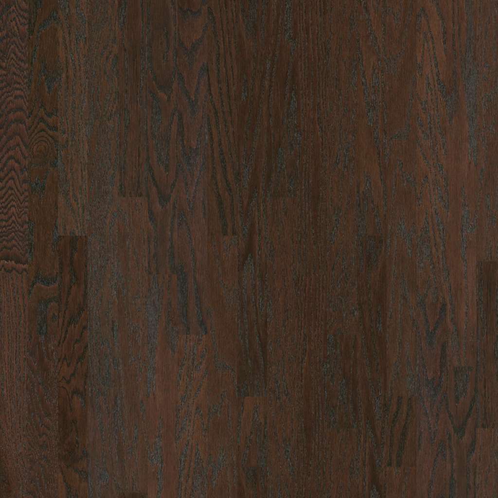 Shaw Albright Oak 3 1/4" SW581-00938 Coffee Bean
