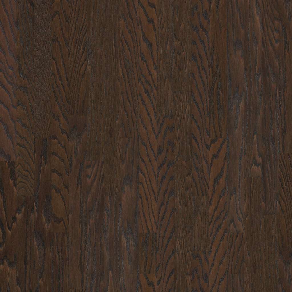 Shaw Albright Oak 3.25 SW581-07011 Chocolate