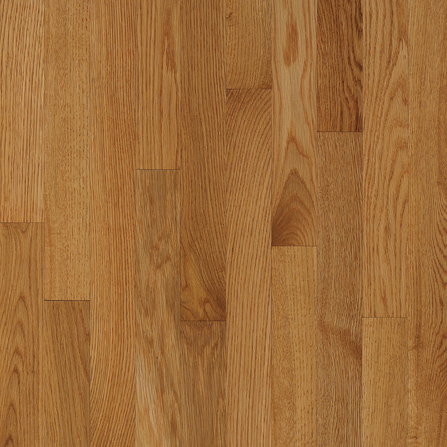 Bruce Solid Hardwood Flooring Oak Natural Choice Desert Natural 2 1/4" C5061LG