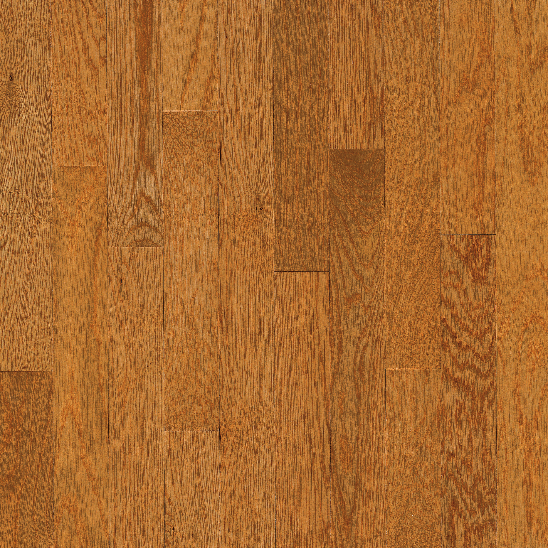 Bruce Solid Hardwood Flooring Oak Natural Choice Butter Rum/Toffee 2 1/4" C5216