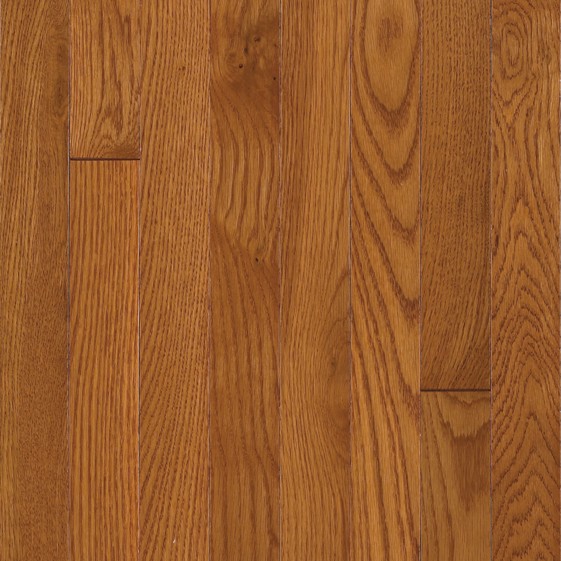 Bruce Solid Hardwood Flooring Oak Waltham Brass 2 1/4" C8240