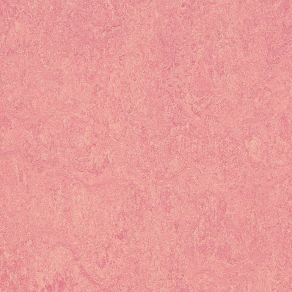 Forbo Marmoleum Click Cinch LOC Seal Waterproof Seal 333268 Honey Suckle 12" x 12" Linoleum Tile Flooring