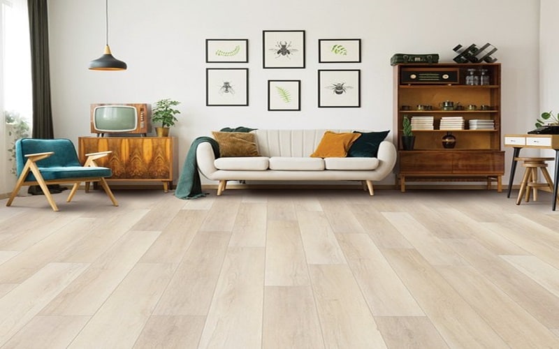 Unleashing Excellence with Coretec Pro Plus: Elevate Your Space with C
