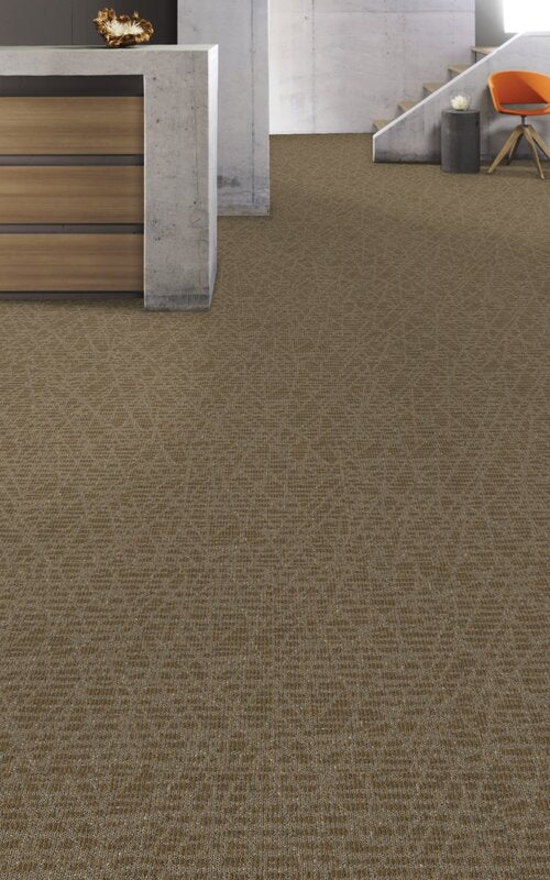 Aladdin Refined Look Carpet Tile | Floor City