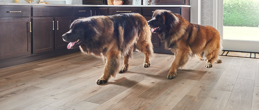 Mannington Laminate Flooring