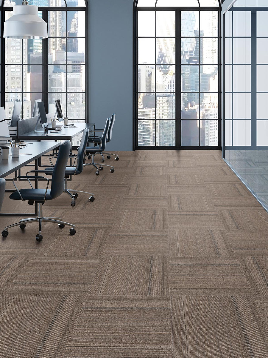 Pentz Carpet Revival