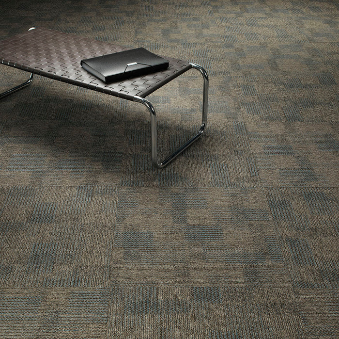 Pentz Carpet Revolution