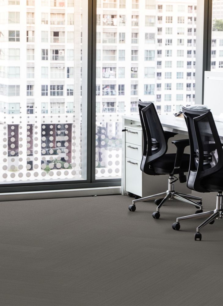 Pentz Commercial Colorpoint