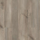 Shaw Paladin Plus Sea Glass 0278V-05092 Luxury Viny Plank (Partial Piece - Sample)