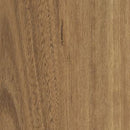 Shaw World's Fair 6Mil 0318V-06041 Baltimore Vinyl Plank (Partial Piece - Sample)