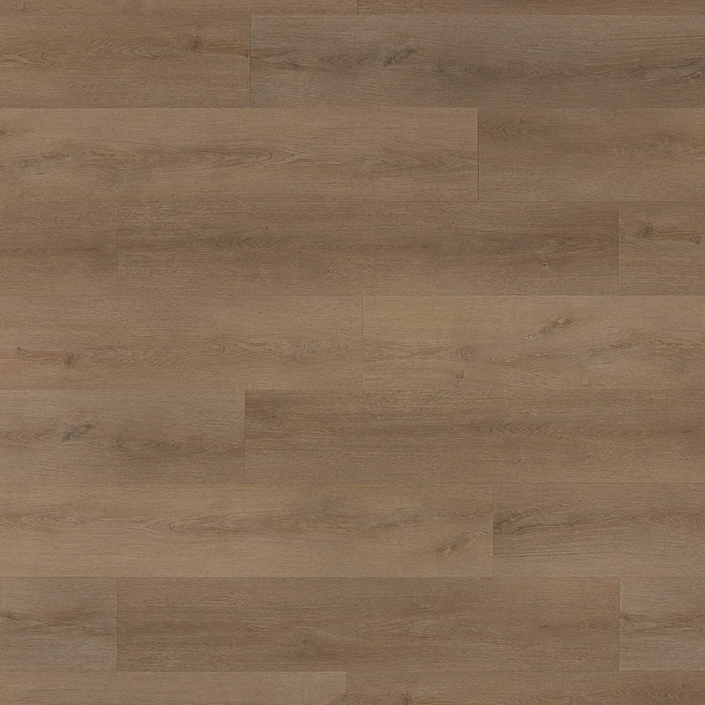 1004_product_1_2000px.webp?v=