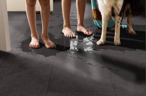 Shaw Paragon Tile Plus 1022V-00943 Charcoal 12" x 23.74" SPC Vinyl Flooring (15.83 SF/Box)