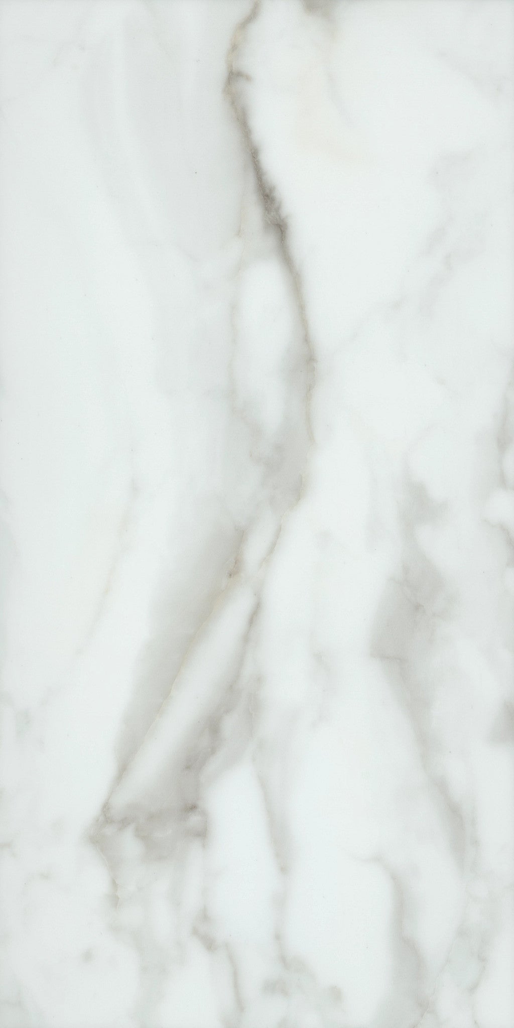 Shaw Paragon Tile Plus 1022V-01100 Calacatta 12.00" X 23.74" SPC Vinyl Flooring (15.83 SF/Box)