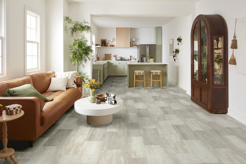 Shaw Paragon Tile Plus 1022V-05261 Mist 12" x 23.74" SPC Vinyl Flooring (15.83 SF/Box)