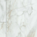 Shaw Paragon Tile Plus 1022V-01100 Calacatta 12.00