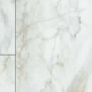 Shaw Paragon Tile Plus 1022V-01100 Calacatta 12.00