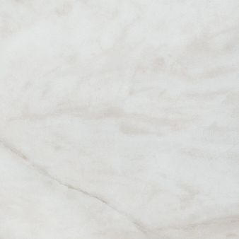 Shaw Paragon Tile Plus 1022V-01109 Catalina 12.00" X 23.74" SPC Vinyl Flooring