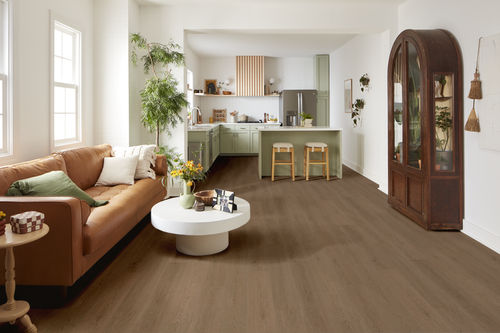 Shaw Pantheon HD+ Natural Bevel Coffeehouse 1051V-00942 7.04" x 48.03" Luxury Vinyl Plank (18.81 SF/Box)