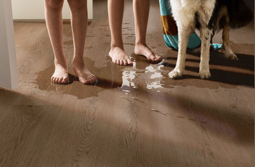 Shaw Pantheon HD+ Natural Bevel Coffeehouse 1051V-00942 7.04" x 48.03" Luxury Vinyl Plank (18.81 SF/Box)