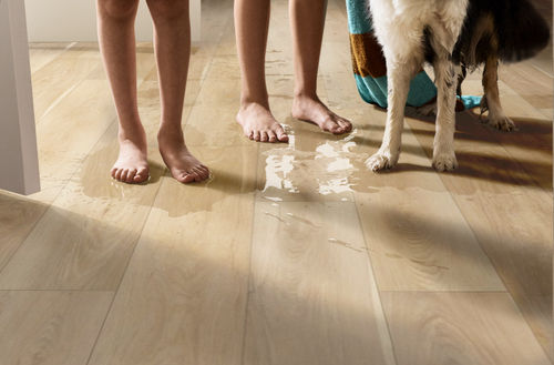 Shaw Pantheon HD+ Natural Bevel Alabaster 1051V-01098 7.04" x 48.03" Luxury Vinyl Plank (18.81 SF/Box)