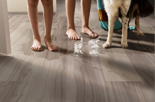 Shaw Pantheon HD+ Natural Bevel Smoke 1051V-05130 7.04" x 48.03" Luxury Vinyl Plank (18.81 SF/Box)