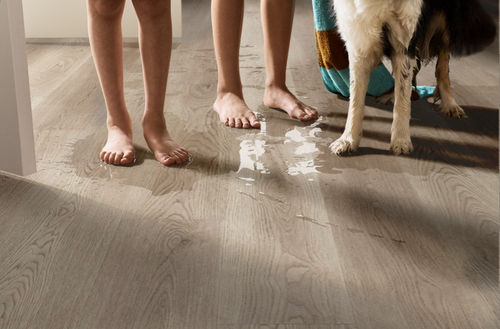Shaw Pantheon HD+ Natural Bevel Pavestone 1051V-05258 7.04" x 48.03" Luxury Vinyl Plank (18.81 SF/Box)