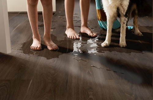 Shaw Pantheon HD+ Natural Bevel Charred Earth 1051V-07232 7.04" x 48.03" Luxury Vinyl Plank (18.81 SF/Box)