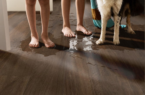 Shaw Pantheon HD+ Natural Bevel Cordovan 1051V-07233 7.04" x 48.03" Luxury Vinyl Plank (18.81 SF/Box)