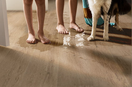 Shaw Pantheon HD+ Natural Bevel Cabet Trails 1051V-07351 7.04" x 48.03" Luxury Vinyl Plank (18.81 SF/Box)
