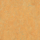 Forbo Marmoleum Marbled Real 3847-10747 Golden Saffron Linoleum Sheet Flooring (Partial Piece - Sample)