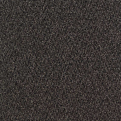 Aladdin Walk The Walk Carpet Tile QA68-983 Iron Ore (Partial Piece - Sample)