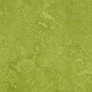 Forbo Marmoleum Marbled Fresco 3247-134667 Green Linoleum Sheet Flooring (Partial Piece - Sample)