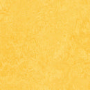 Forbo Marmoleum Marbled Fresco 3251-134671 Lemon Zest Linoleum Sheet Flooring (79