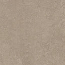 Forbo Marmoleum Marbled Fresco 3252-134672 Sparrow Linoleum Sheet Flooring (Partial Piece - Sample)