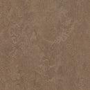 Forbo Marmoleum Marbled Fresco 3254-138109 Clay Linoleum Sheet Flooring (Partial Piece - Sample)